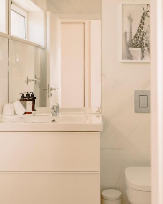 Glam House No Coracao Da Cidade ファロ エクステリア 写真