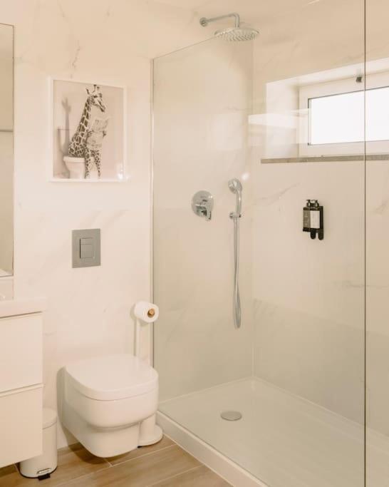 Glam House No Coracao Da Cidade ファロ エクステリア 写真